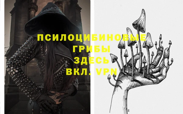 MESCALINE Баксан