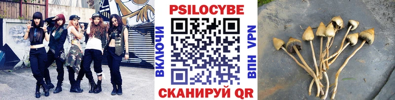 Галлюциногенные грибы GOLDEN TEACHER  Борисоглебск 
